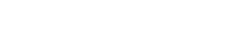 Spidergroup-logo-White