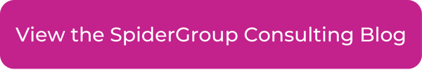 View the SpiderGroup Consulting Blog