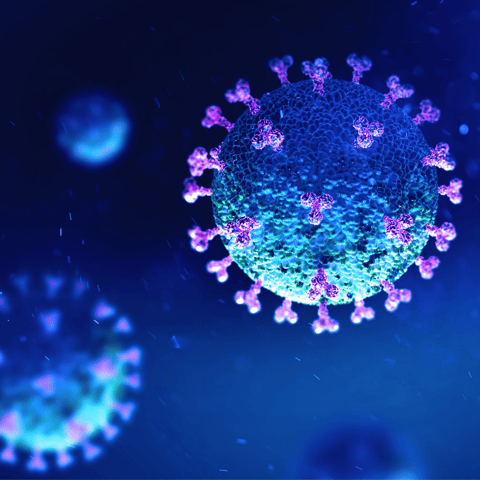 coronavirus