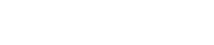 SpiderGroup Logo